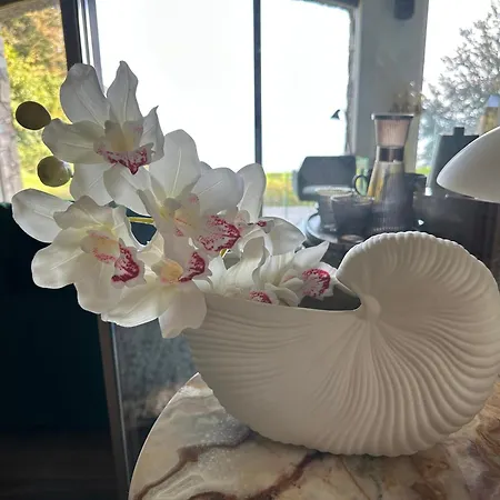 Private Luxury & Silence Retreat With Spectacular View Over The Maggiore Panzió