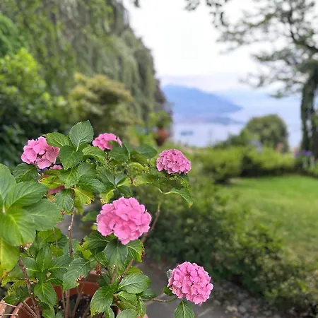 Private Luxury & Silence Retreat With Spectacular View Over The Maggiore Panzió Stresa